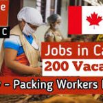 Factory Worker Jobs In Canada With Visa Sponsorship 2024