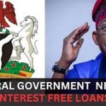 Requirements for Federal Government Loans for Entrepreneurs in Nigeria