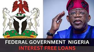 Requirements for Federal Government Loans for Entrepreneurs in Nigeria