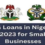 Federal Government Funding Opportunities for Nigerian Entrepreneurs