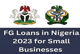 Federal Government Funding Opportunities for Nigerian Entrepreneurs