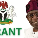 Eligibility Criteria for Nigerian Government Loans for Startups