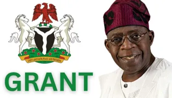 Eligibility Criteria for Nigerian Government Loans for Startups